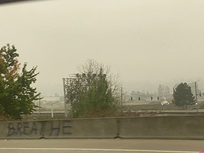 Wildfire smoke image