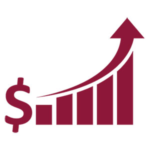 COVID-19 Investment icon
