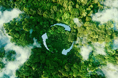 Earth day logo in the trees image