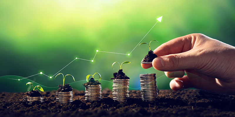 image of plants growing from coins