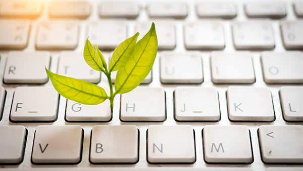 plant growing from a keyboard image