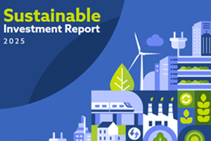 Sustainable Investment Report Cover image