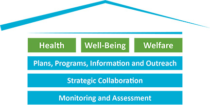 areas of focus graphic