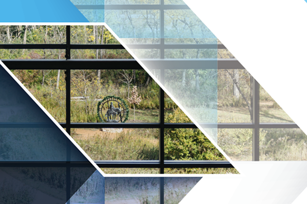 2025 Annual Report