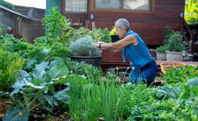 Woman gardening
