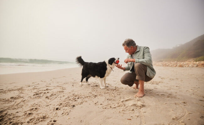 Active mature man holding ball on beach with dog